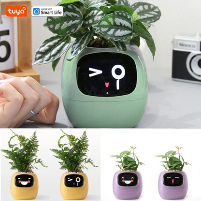 AI Smart Planter