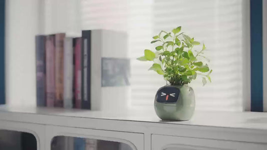 AI Smart Planter